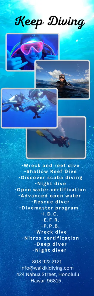 Professional scuba diving certification courses in Waikiki
