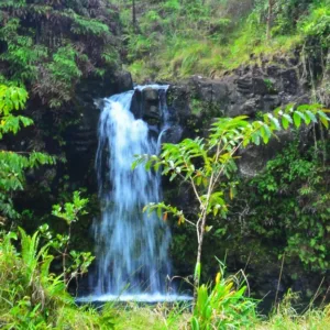 Scenic coastal views along the Half Day Road to Hana Tour