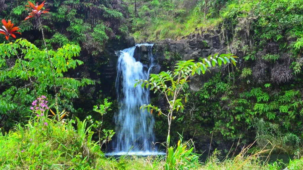 Scenic coastal views along the Half Day Road to Hana Tour
