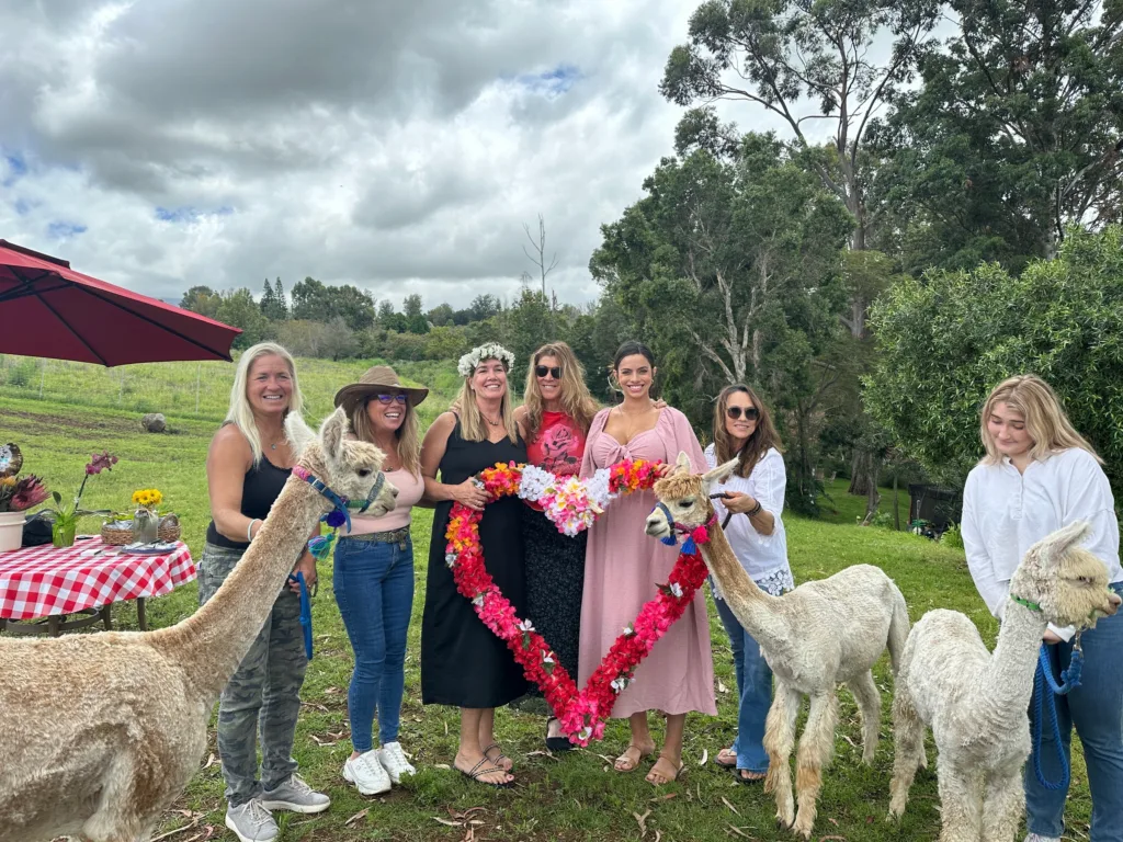 Visitors having a picnic near alpacas on Maui farm tour