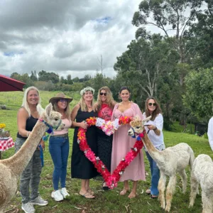 Visitors having a picnic near alpacas on Maui farm tour