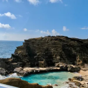 Tour bus driving along scenic Circle Island route in Oahu