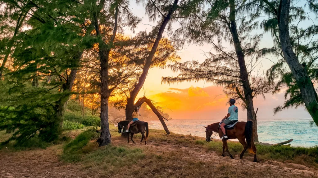 Private oceanfront ride during a vibrant sunset scene