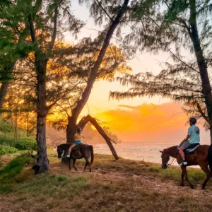 Private oceanfront ride during a vibrant sunset scene