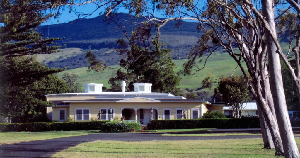 Traveler using map for self-guided island tour