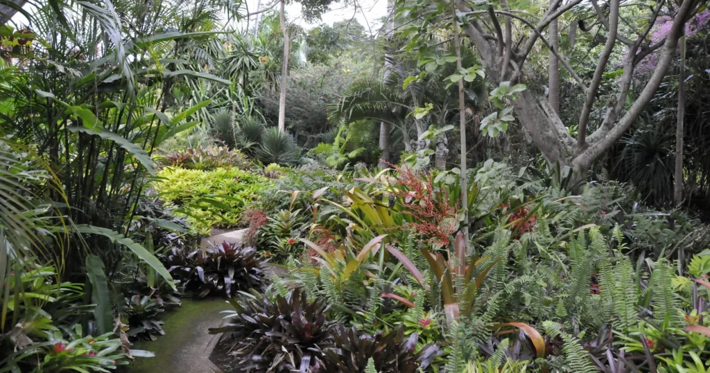 Visitor walking through lush gardens on self-guided tour