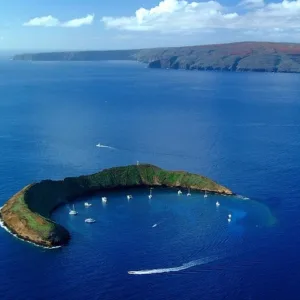 Snorkelers exploring Molokini Crater from Ma'alaea Harbor