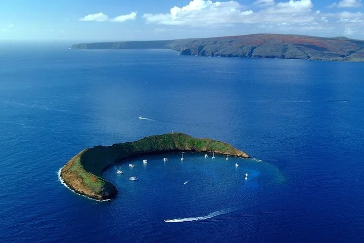 Snorkelers exploring Molokini Crater from Ma'alaea Harbor