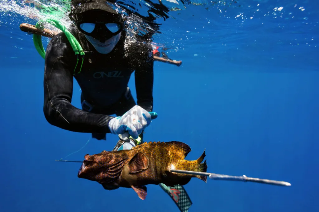 Guided spearfishing course with FII certification