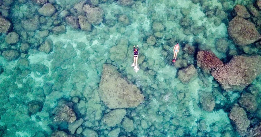 Group snorkeling adventure at Sharks Cove in Oahu