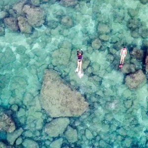 Group snorkeling adventure at Sharks Cove in Oahu