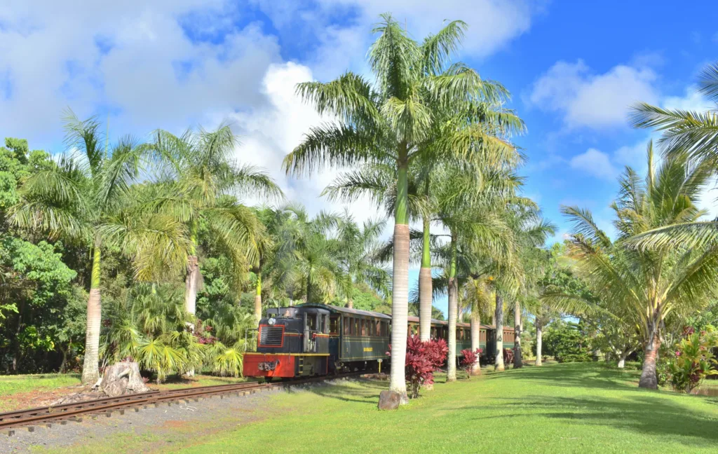 Vintage train passing through Kauai's orchard fields