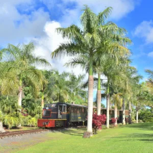 Vintage train passing through Kauai's orchard fields