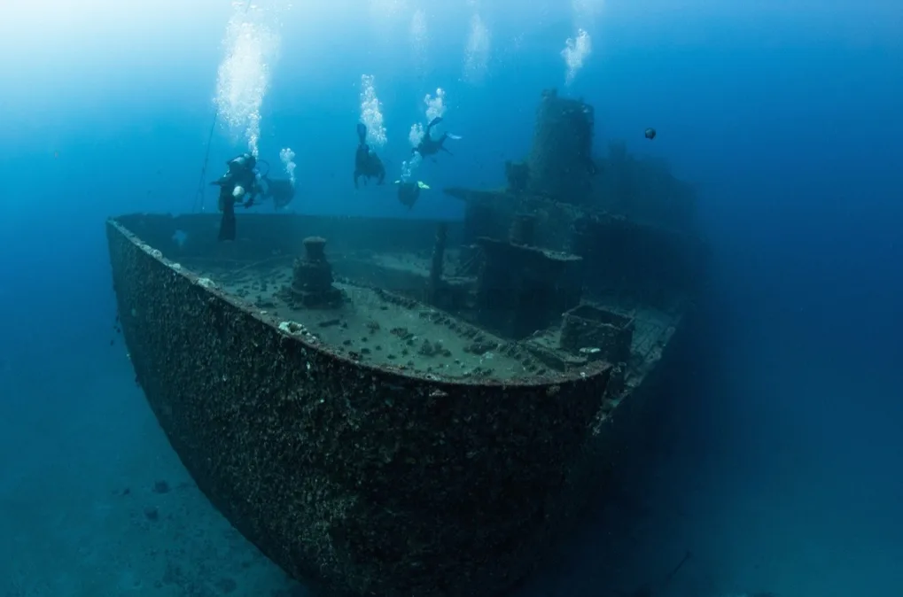 Exploring vibrant coral reefs near sunken ships