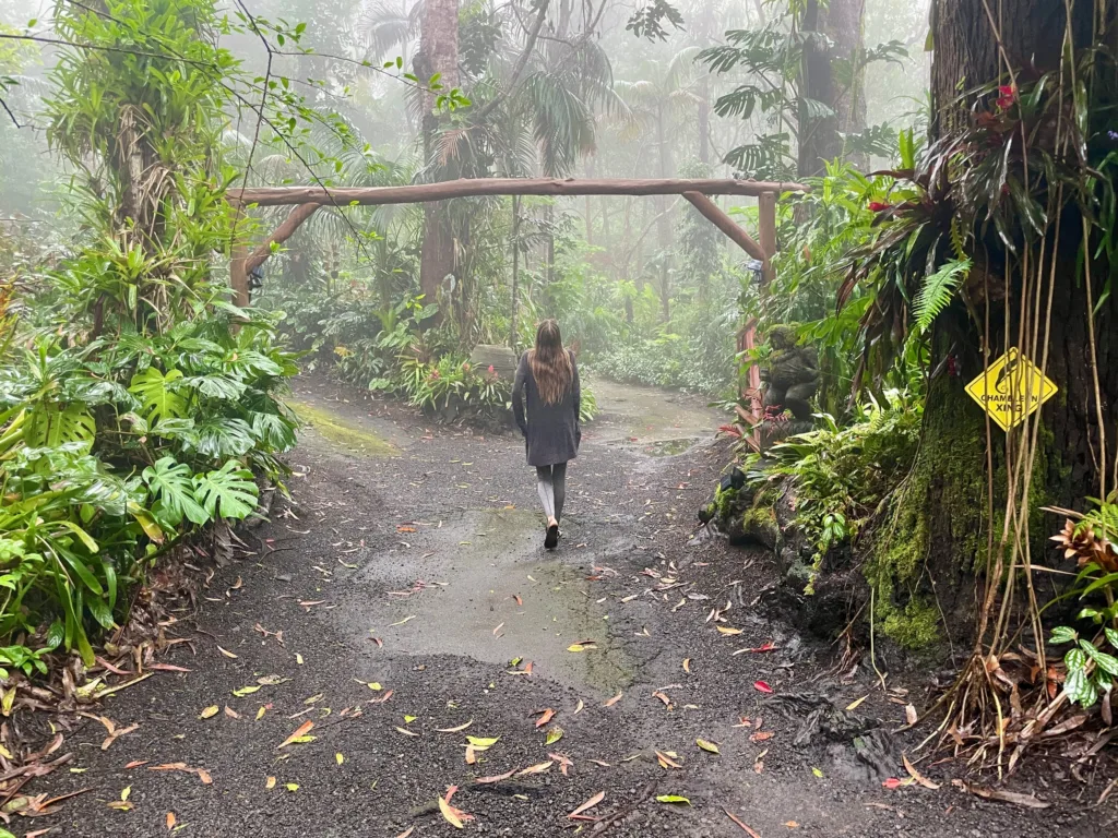 Exploring lush montane jungle on a cloud forest trail