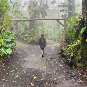 Exploring lush montane jungle on a cloud forest trail