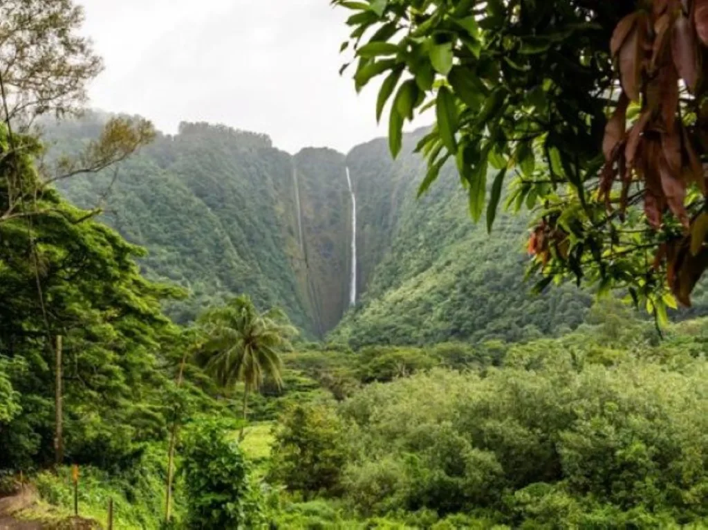 Luxury limousine driving past scenic island sites in Waikiki area