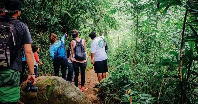 Friendly hiking experience exploring Oahu’s Waikiki trails