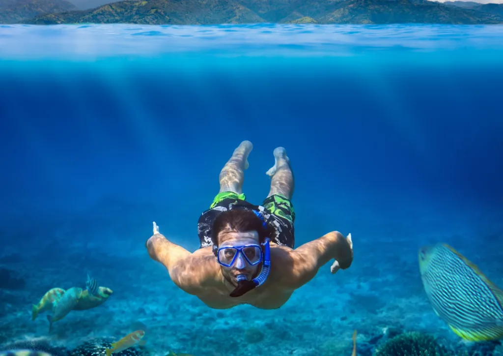 Snorkelers exploring vibrant coral reefs on Waikiki tour