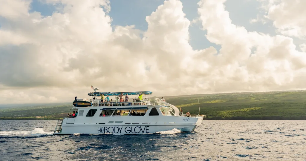 Deluxe snorkeling tour with dolphin watching in clear waters