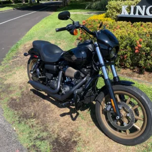 2017 Harley Davidson Dyna S motorcycle parked by the coast
