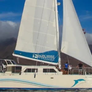 Sailboat gliding through ocean waters on whale watching tour