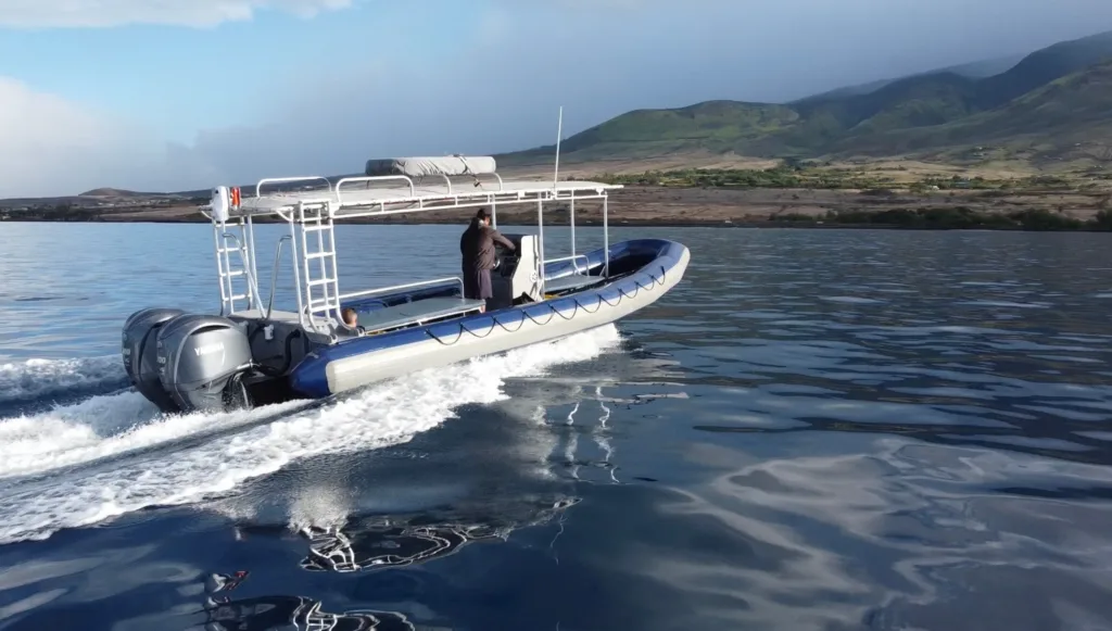 Tourists observing whales in Maui ocean waters