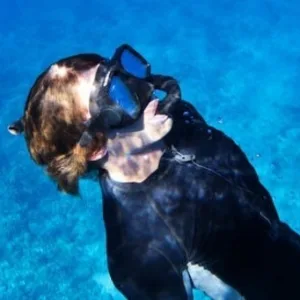 Snorkelers exploring Molokini and swimming with sea turtles