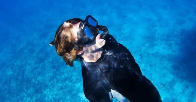 Snorkelers exploring Molokini and swimming with sea turtles