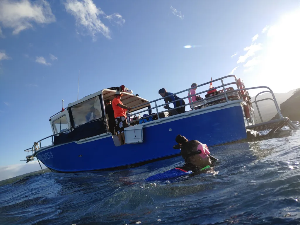 Scuba divers practicing open water skills from boat