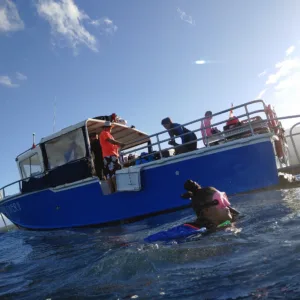 Scuba divers practicing open water skills from boat
