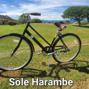 Single-speed bike for four hour island adventure