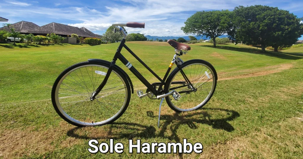 All day single-speed bike rental for island tour