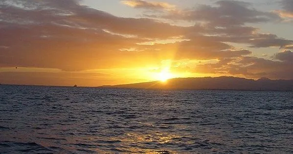 Morning cruise enjoying mimosas and island coastal views