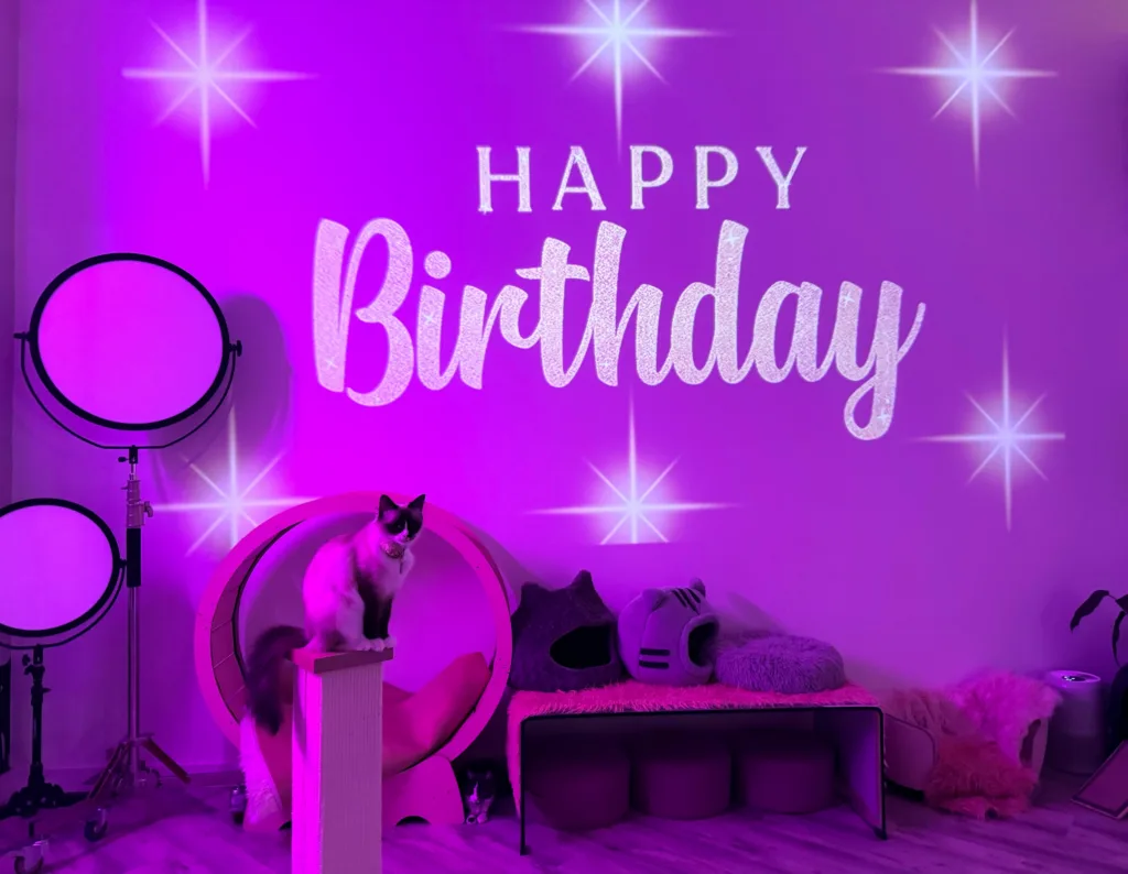 Beautifully decorated venue for special island event