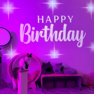 Beautifully decorated venue for special island event