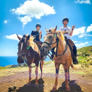 Horseback riding tour with mountain views and sunshine