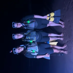 Night snorkeling at Turtle Town with underwater lights