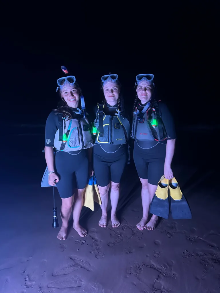 Night snorkeling at Turtle Town with underwater lights