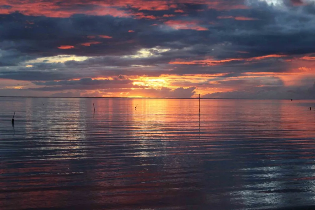 Kayaking along the coast at sunset on calm waters