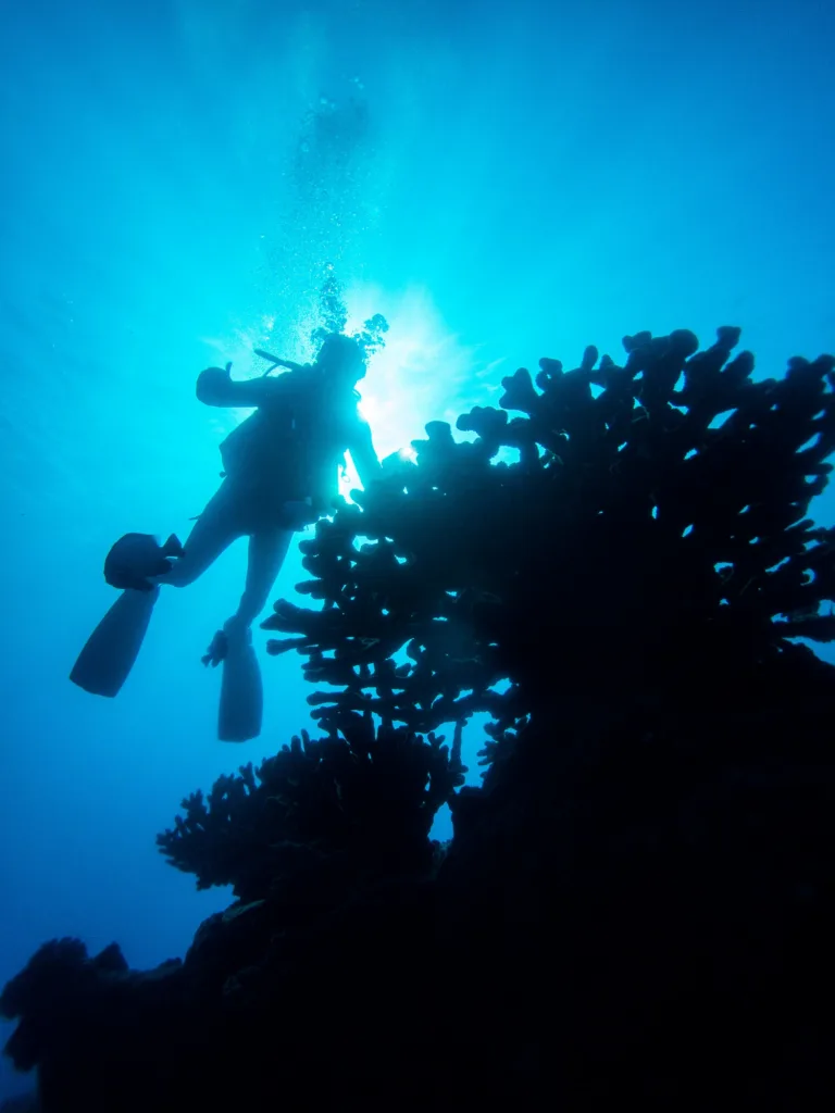 Three tanks lined up on boat for Niihau dive