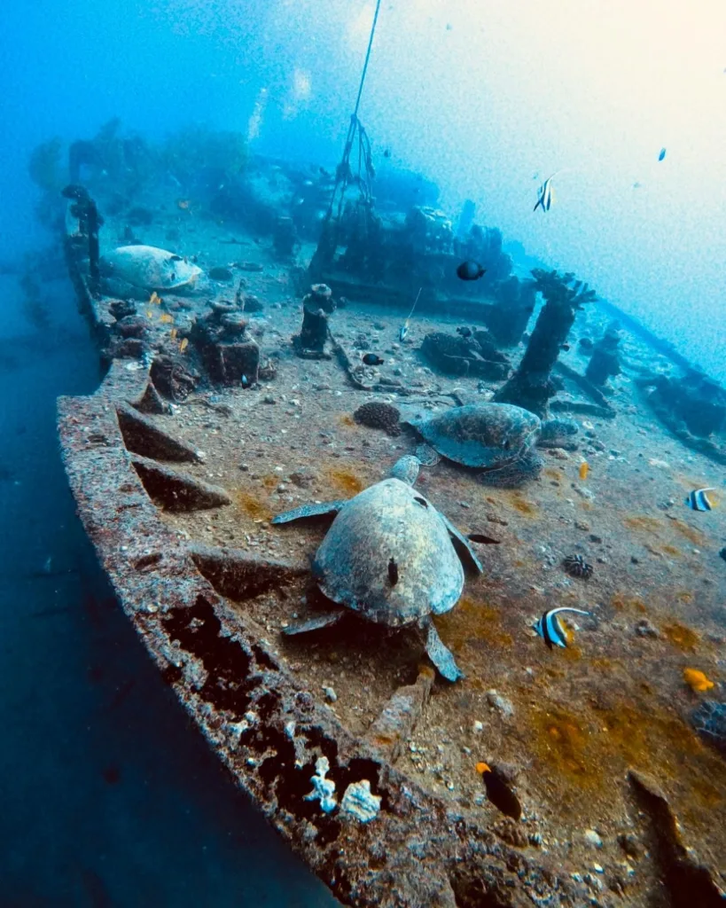 Diver exploring underwater wreck and reef in Honolulu