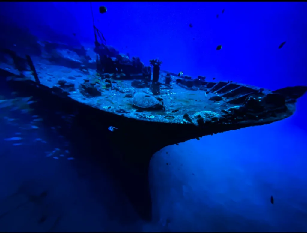 Certified divers exploring underwater shipwrecks and coral reefs