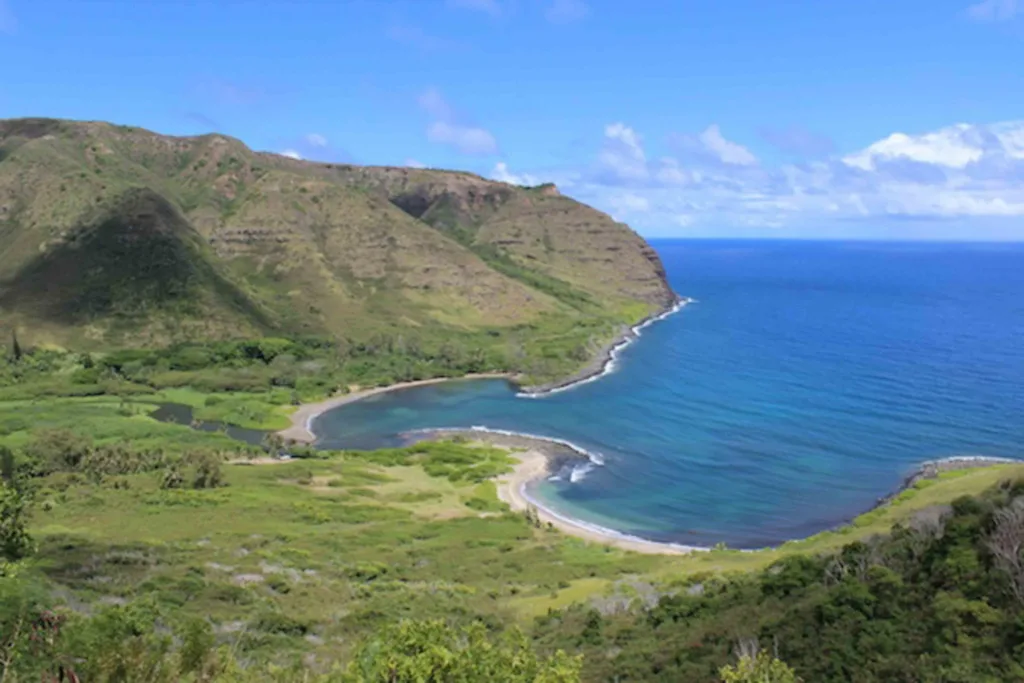 Hikers trekking along lush trail during Halawa hike in Hawaii