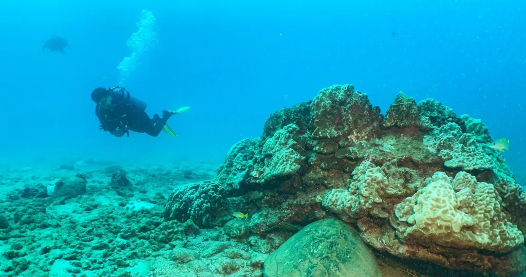 Solo tank ready for shore dive at Koloa Landing