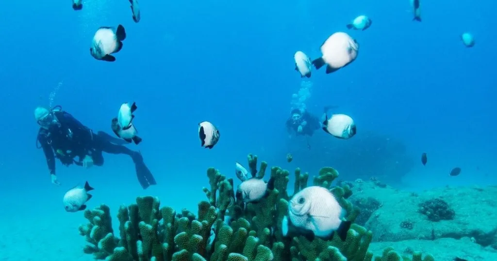 Twilight shore dive setup with two tanks at Koloa