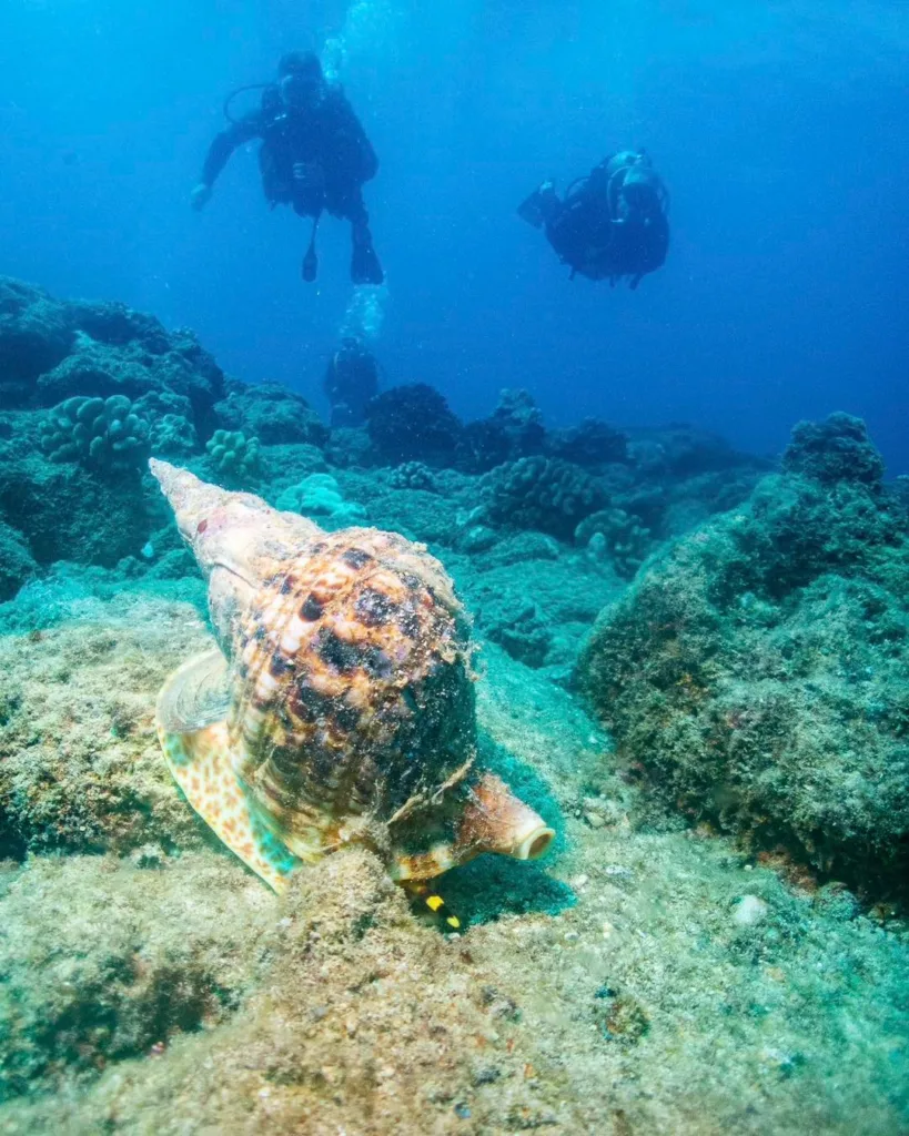 Two-tank Discover SCUBA dive setup at Koloa Landing