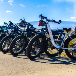 Fat tire e-bike parked near volcanic park trail