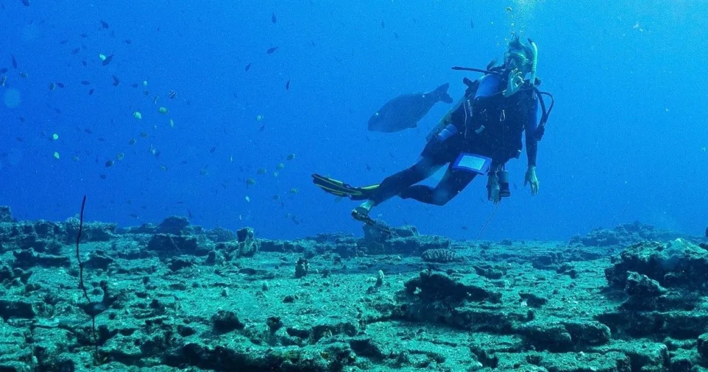 Student learning scuba diving skills during PADI open water class