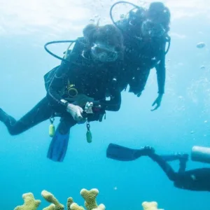 PADI enriched air diver certification with online learning